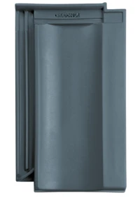 Siva   engoba